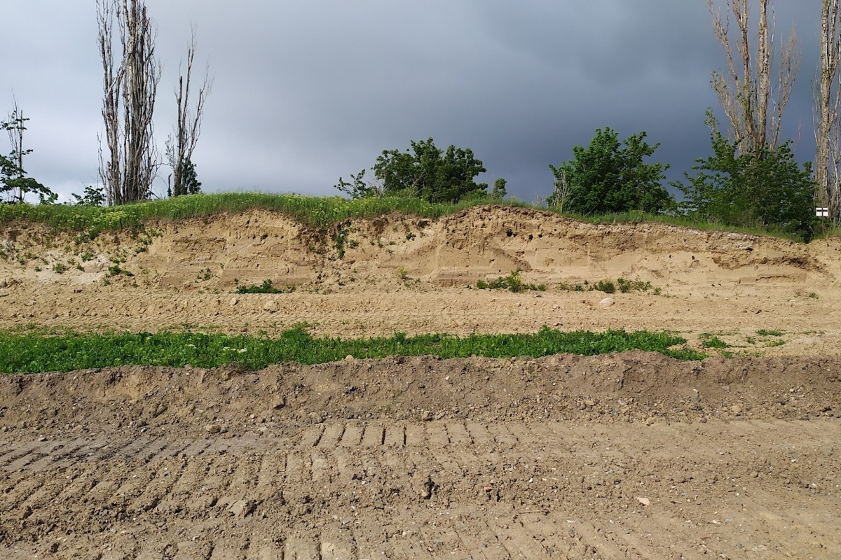 Bild zum Referenzprojekt Umweltbaubegleitung / Ökologische Baubegleitung zum Vorhaben Quarzsandtagebau Ermsleben-Sinsleben