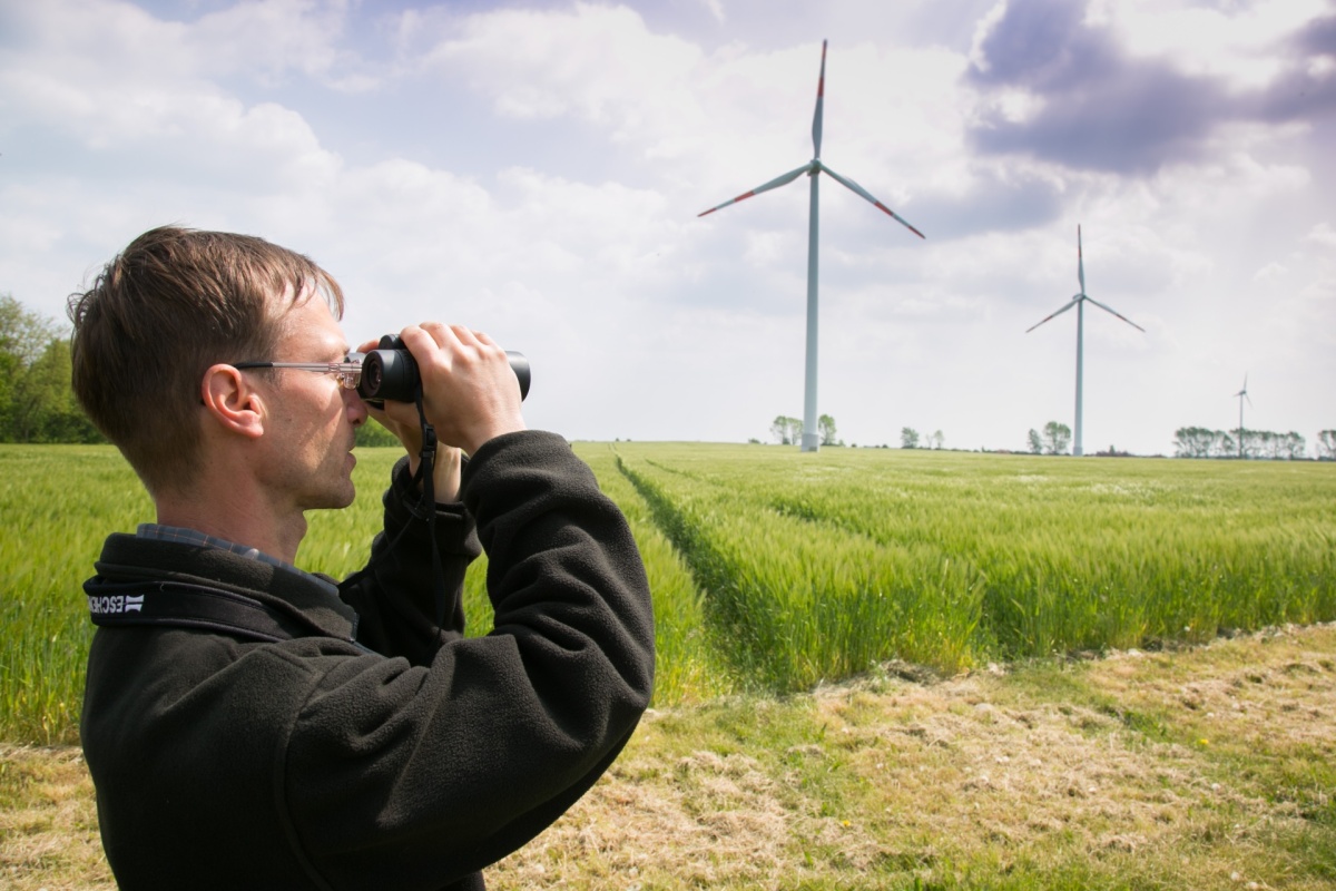 Bild zum Referenzprojekt Windpark Hüselitz